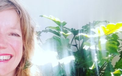 In 5 stappen een frisse nieuwe koers na je vakantie